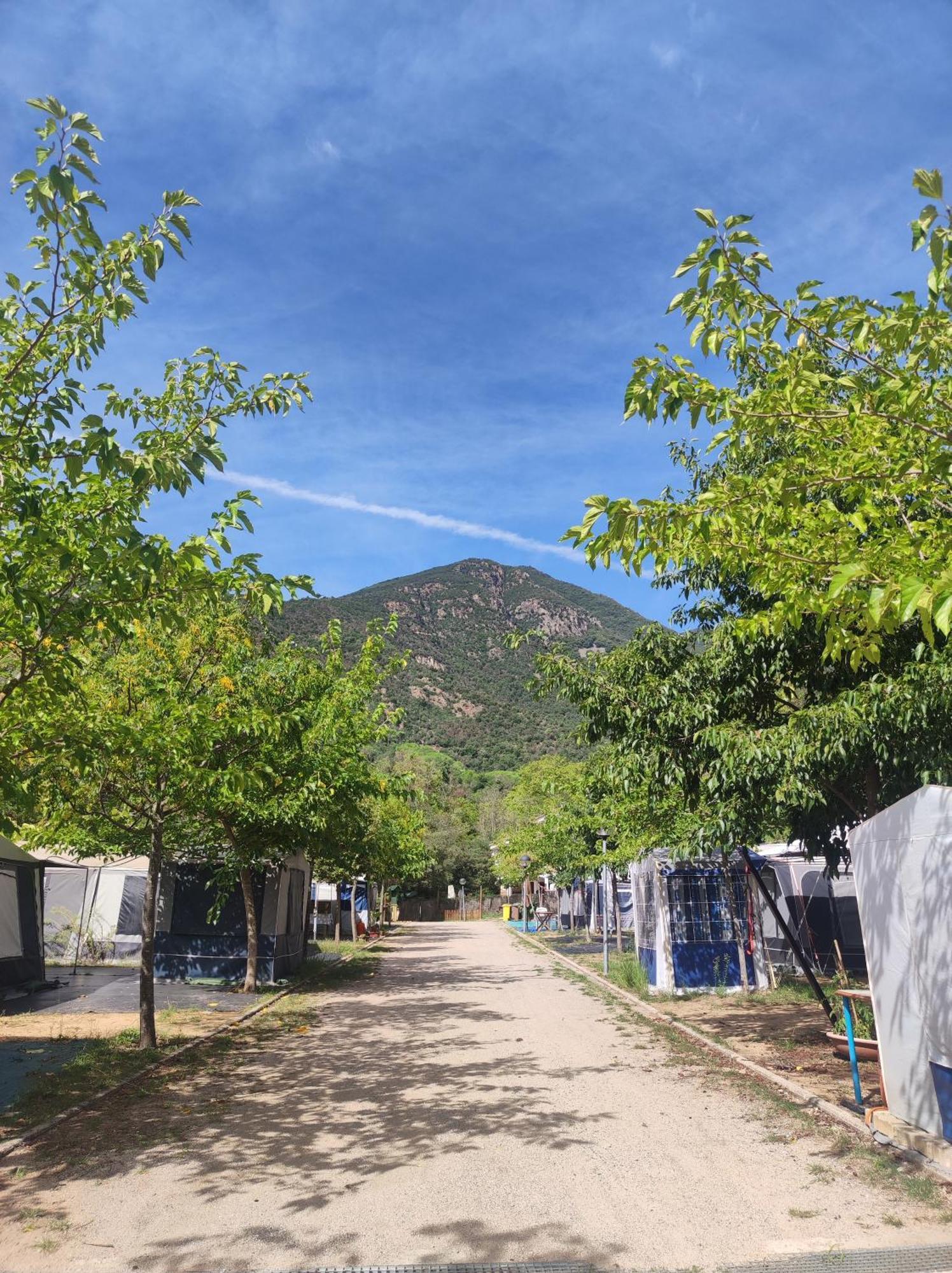 Camping Parc Gualba Gualba de Dalt Eksteriør bilde