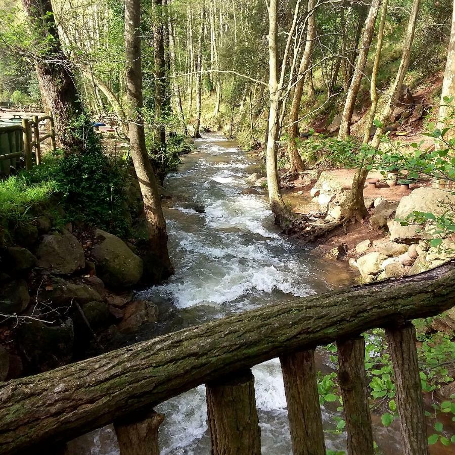Camping Parc Gualba Gualba de Dalt Eksteriør bilde